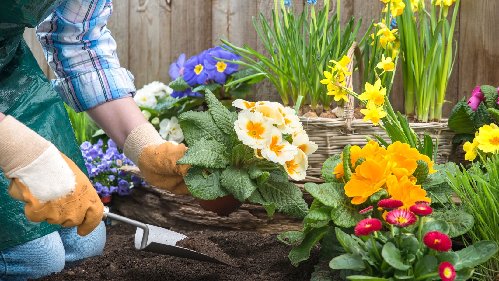 square foot gardening chart pdf