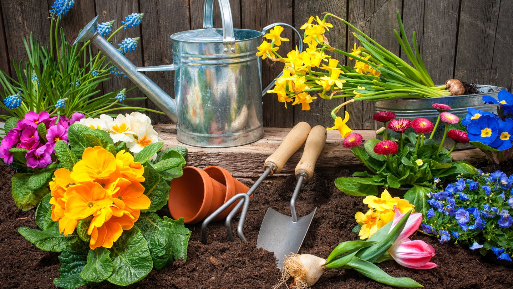 large galvanized tubs for gardening