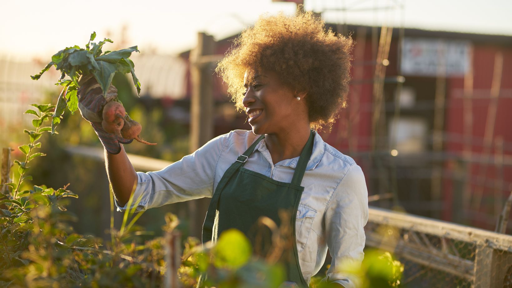 "As an avid gardener for over a decade, I've discovered that the secret to a thriving garden lies in the quality of soil you use. Many gardeners ask me whether topsoil is a good choice for their gardens and I'm always excited to share my expertise on this fundamental gardening element.Topsoil plays a crucial role in your garden's success by providing essential nutrients and proper drainage for your plants. While it's often considered a basic gardening medium I've found that not all topsoil is created equal. Throughout my years of experimentation I've learned that understanding the characteristics and proper use of topsoil can make the difference between a flourishing garden and one that struggles to grow.Key Takeaways Topsoil plays a vital role in garden success, containing essential nutrients, minerals, and microorganisms for plant growth in the top 5-12 inches of earth. Different types of topsoil (sandy, clay, silty, and loamy) offer varying benefits, with loamy being the ideal mix for most gardens due to its balanced drainage and nutrient retention. Quality topsoil improves garden soil structure, enhances water management (reducing runoff by 40-60%), and supports beneficial microorganisms that create healthy growing conditions. Best times to add topsoil are early spring and late fall, with new garden beds requiring 4-6 inches and existing beds needing 2-3 inches annually for maintenance. When selecting topsoil, look for pH levels between 6.0-7.0, proper screening (1/2-inch), and dark color with visible organic matter, while avoiding contaminated or poor-quality sources. Proper application involves mixing topsoil 50-50 with existing soil, removing debris, and maintaining appropriate layer thickness based on the specific gardening application (4-12 inches depending on use). is topsoil good for gardening