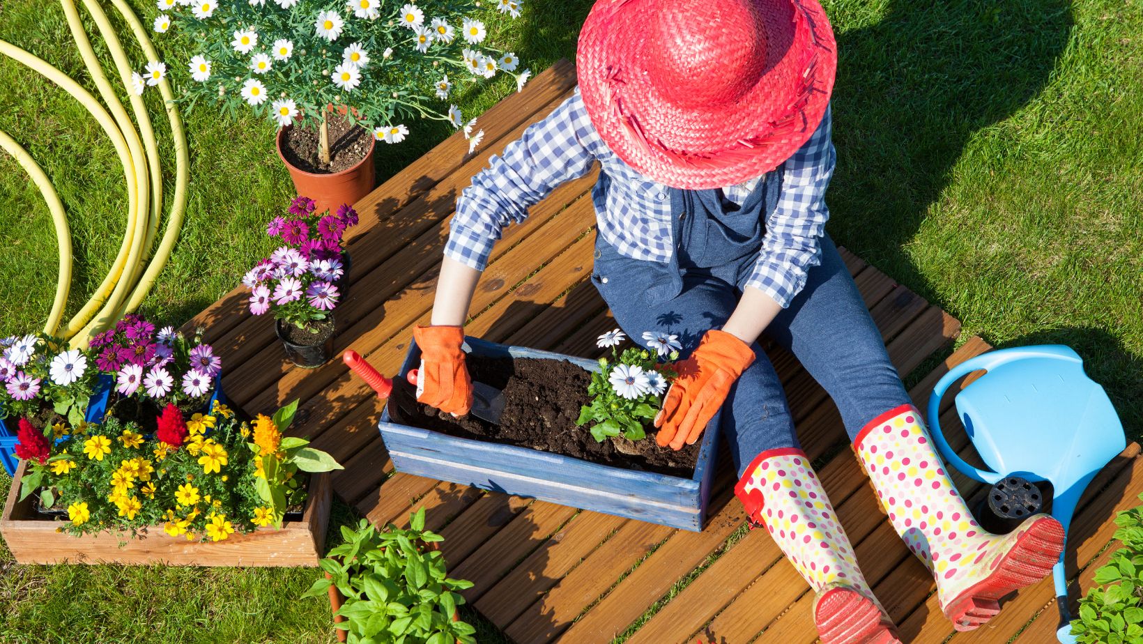 florida gardening