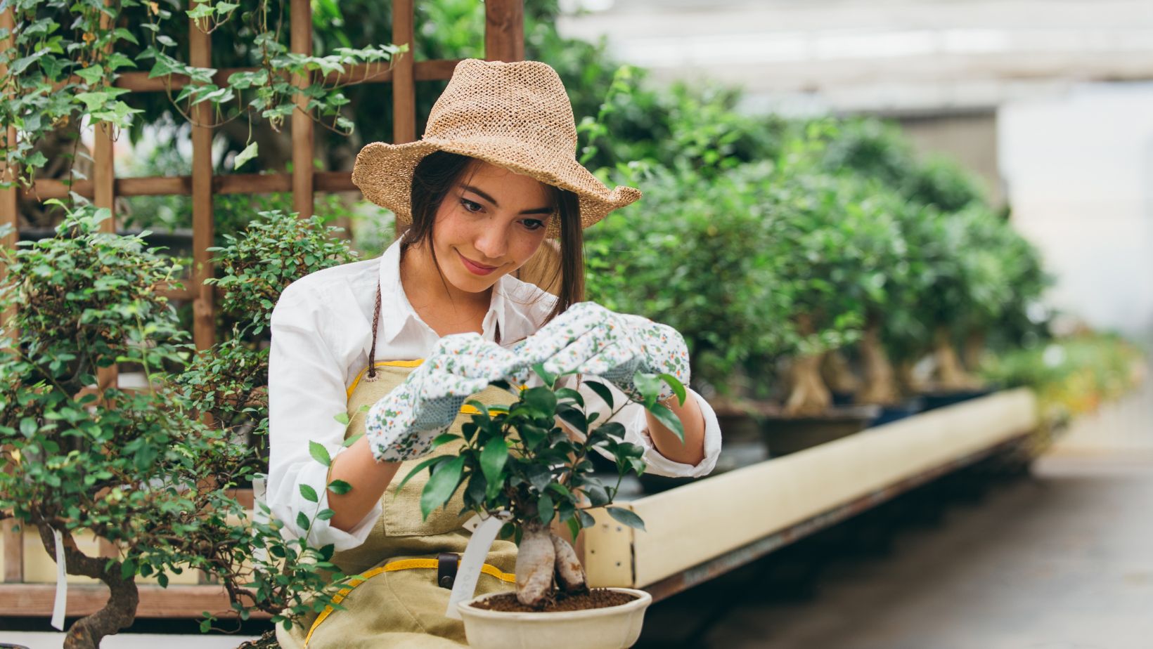 florida gardening